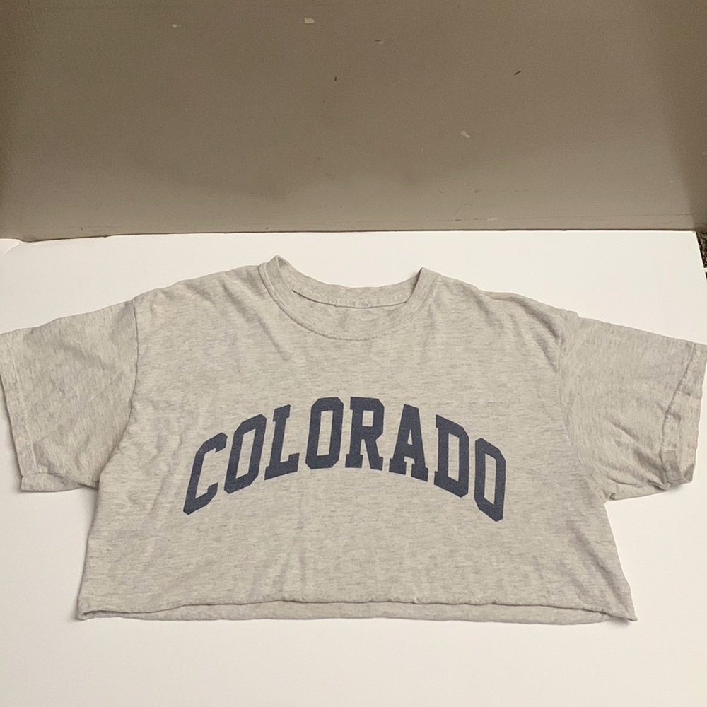 Brandy Melville Crop Top